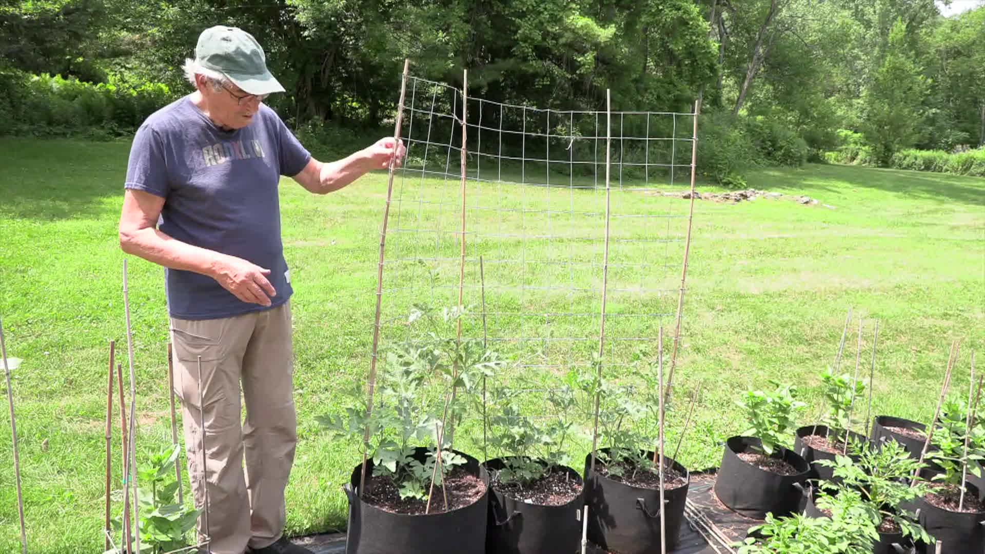 The Garden Bag Man with Sam Bittman