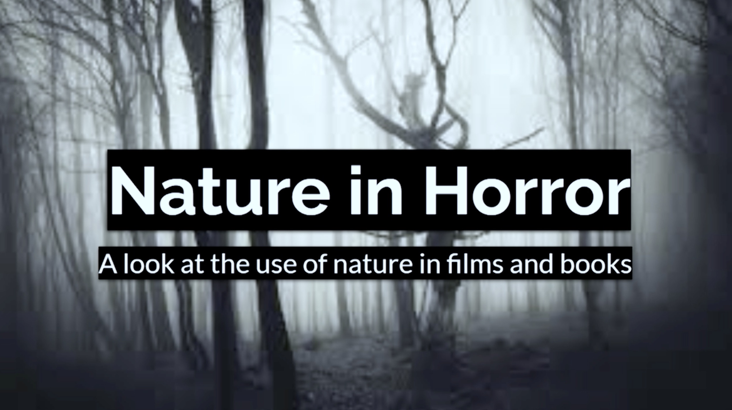 South Portland Library Presents – Horror Ecology by Sydney Raferty