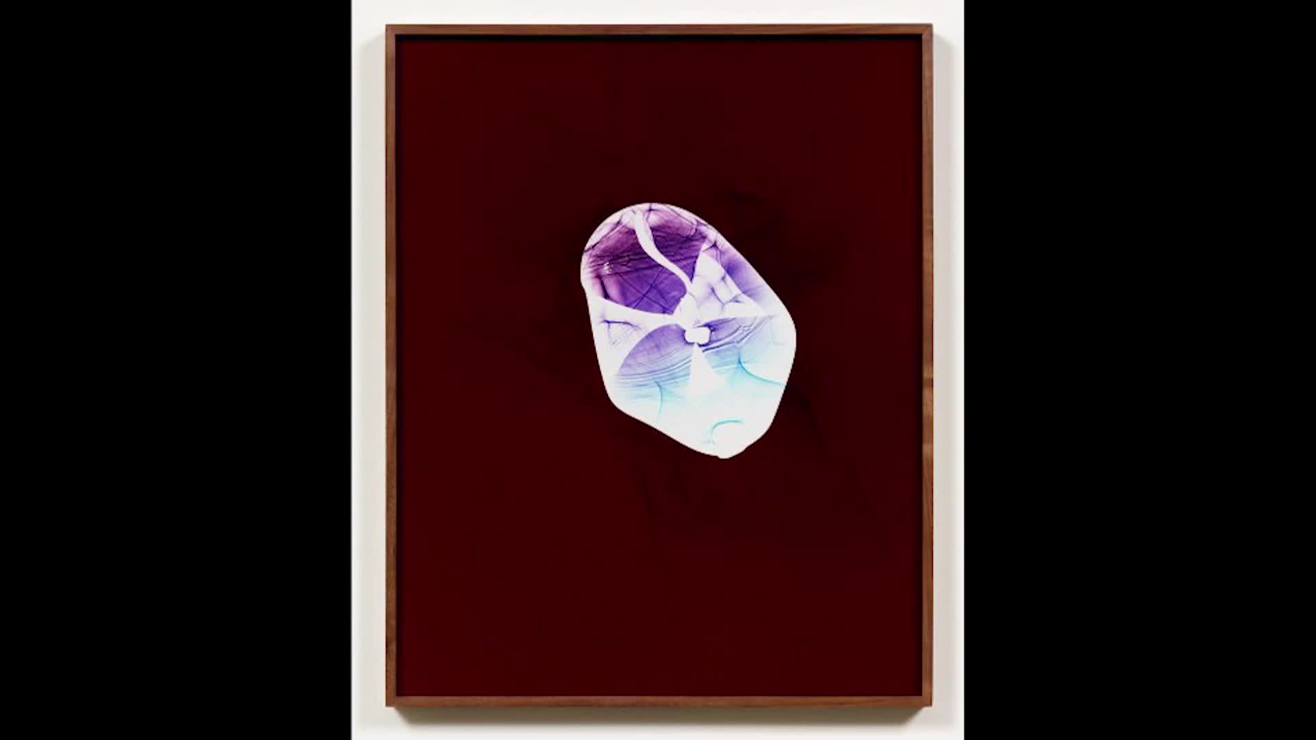 WCMA – Kelly Akashi, Public Artwork Commission Artist Talk