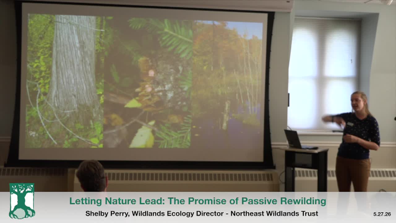 Northeast Wildnerness Trust – Letting Nature Lead, The Promise of Passive Rewilding